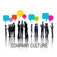 Company Culture